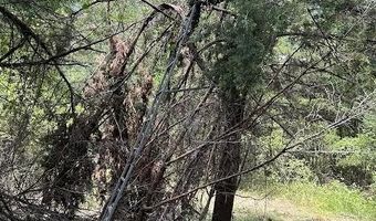 0000 Cr-3401, De Kalb, TX 75559