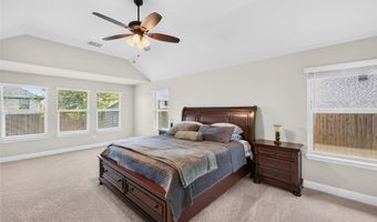 1301 Park Vista Dr, Anna, TX 75409