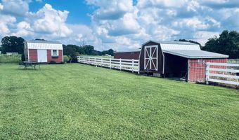 970 Ross Raines, Albertville, AL 35951
