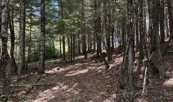 Route 9 lot 13, Aurora, ME 04428