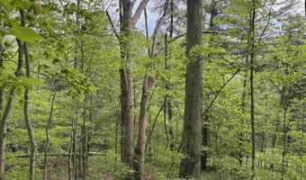7046 S State Road 145, Birdseye, IN 47513