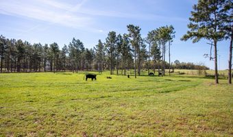 192 Breedlove Rd, Bainbridge, GA 39817