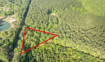 Ethridge Drive, Andrews, SC 29510