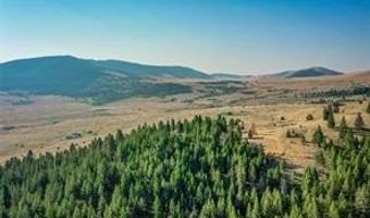 29011 Walking Horse Ln, Big Arm, MT 59910