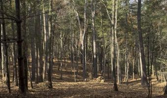 Cedar Hill Drive unit 24 24, Asheville, NC 28803