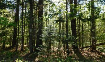 PO M20 L25 4 Mile Square Road, Anson, ME 04911