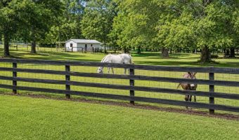 12820 NW 116TH Pl, Alachua, FL 32615