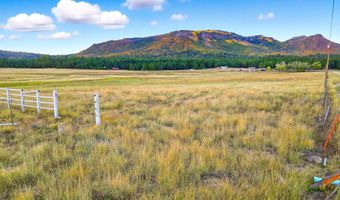 ALPINE UNSUBDIVIDE, Alpine, AZ 85920