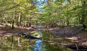 0 Lloyd Mill Rd, Andalusia, AL 36421