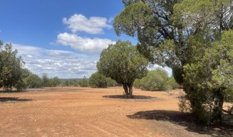 4934 Elk Trail Rd, Clay Springs, AZ 85923