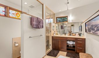 308 Park Ave, Aspen, CO 81611