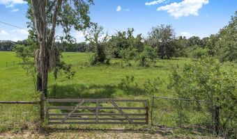 TBD 10th St, Bell, FL 32619
