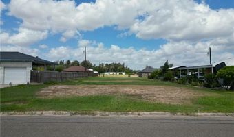 813 Pelican St, Alamo, TX 78516