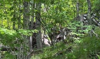 Tbd Wakeman Way, Banner Elk, NC 28604