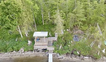 3206 Hidden Ridge Rd, Alanson, MI 49706
