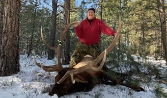 Tbd TBD, Big Timber, MT 59011