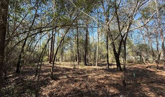 Knollwood lot 4C, Bainbridge, GA 39819