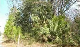 158 Magnolia Ln, Apalachicola, FL 32320