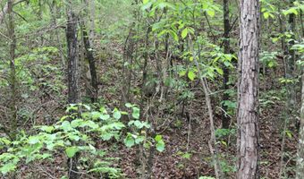 E Mountain Road, Bee Branch, AR 72013