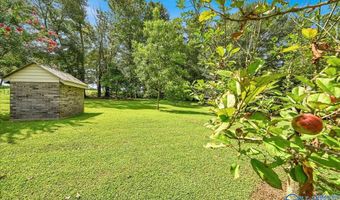 4975 Section Line Rd, Albertville, AL 35950