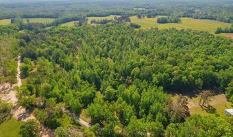 9402 Brooksie Thompson Rd, Bath Springs, TN 38311