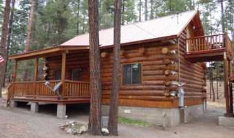 30 County Road 2066, Alpine, AZ 85920