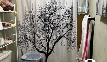 3667 Lake Douglas Rd, Bainbridge, GA 39819