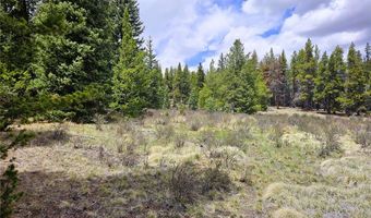 PCS # 10594 Looney Lane lot 0, Alma, CO 80420