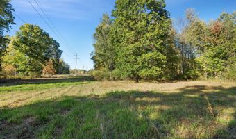 VL 61acres 34th, Allegan, MI 49010