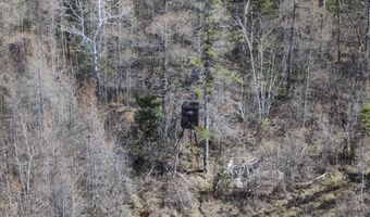 5280 Cathro Rd, Alpena, MI 49707