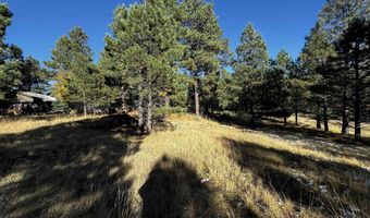 1290 Torrey Pines Ln, Angel Fire, NM 87710