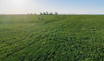 885 Th Rd, Bassett, NE 68714