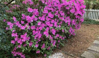 1822 Brevard Pl, Camden, SC 29020