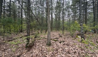 Wildwood Drive 9, Allegan, MI 49010