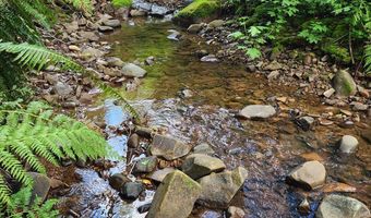 17285 RUSTIC Ln, Brookings, OR 97415