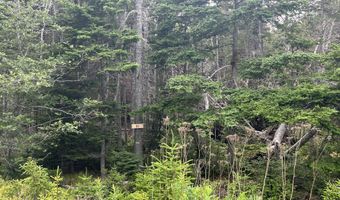 8 9 10 & 14 Kent/Bar Island/Wohoa Bay Rd, Addison, ME 04606