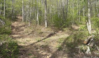 999999 Harwood Rd, Barnardsville, NC 28709