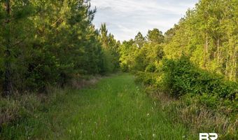 Flowers Road, Bay Minette, AL 36507