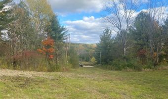 6197 Windfall Rd, Angelica, NY 14813