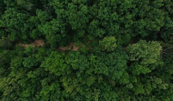 County Road 200, Alton, MO 65606