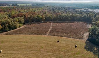0 County Road 127, Banks, AL 36005