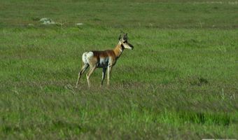 T32 Sec 25, Imlay, NV 89418