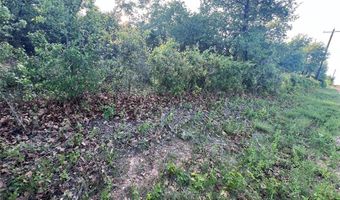Tbd County Road 335, Anson, TX 79501