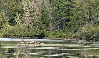 33 Acres Off Net Riv, Amasa, MI 49903