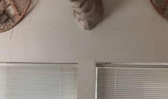 1 Iron Mine Rd, Carlin, NV 89822