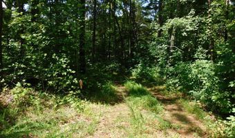 98 63 AC Pointer Rd, Alton, VA 24520