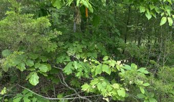 State Highway U, Ava, MO 65608