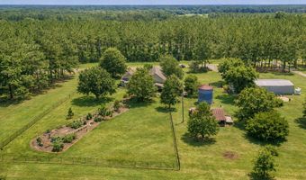 4437 Nicklesville Rd, Arlington, GA 39813