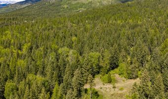 Nhn Red Hawk Drive, Bigfork, MT 59911