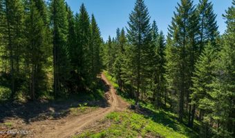 Kreiger Creek Rd, Careywood, ID 83809